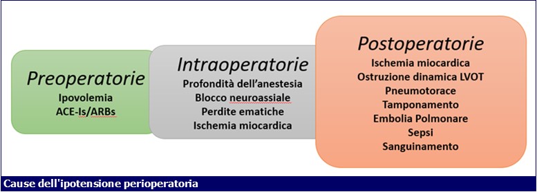 Cause-ipotensione perioperatoria-ecm-ati14-medical evidence